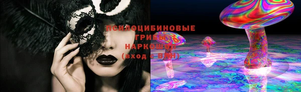 ГАЛЛЮЦИНОГЕННЫЕ ГРИБЫ Балахна