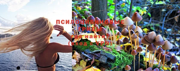 spice Аркадак