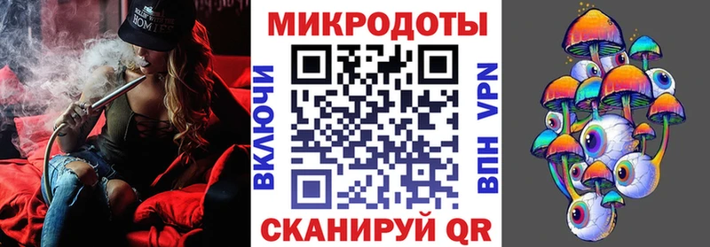 Псилоцибиновые грибы Cubensis KRAKEN вход Зима